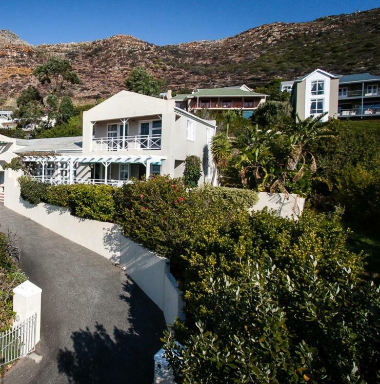 Dolphin * Simon's Town